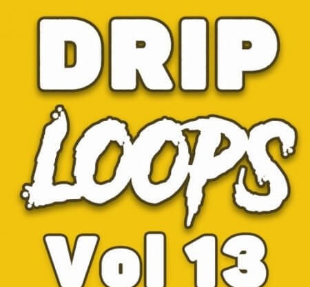 DiyMusicBiz Drip Loops Vol.13 WAV